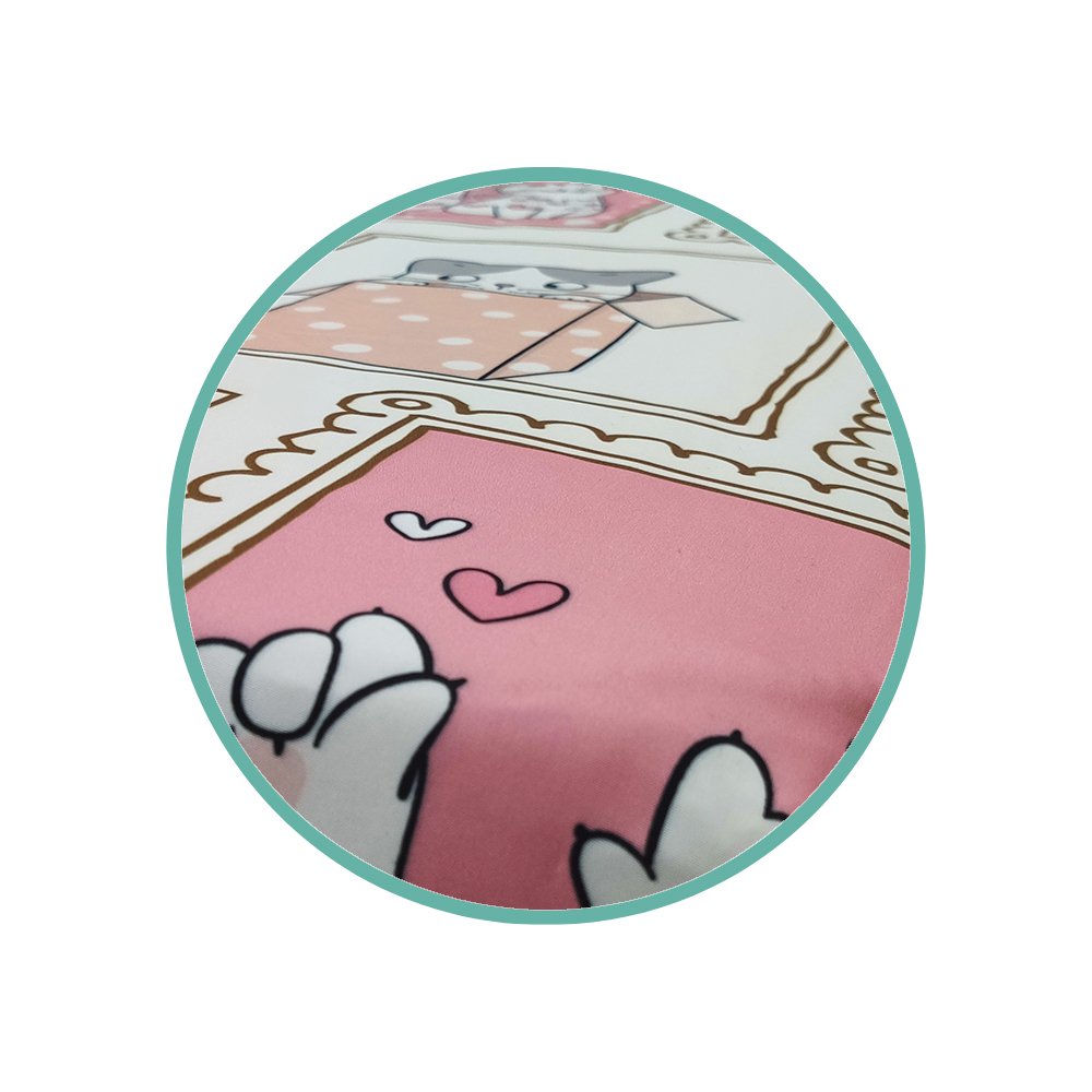 gatinhos-2