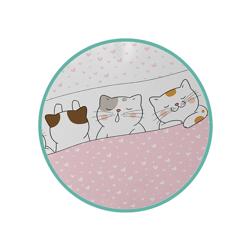 fronha-gato-1