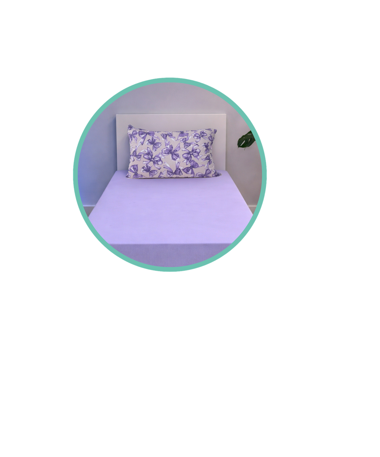 sonho lilas 3